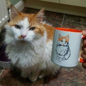 Hand Drawn Personalised Cat Mug Rescue Cat Gift